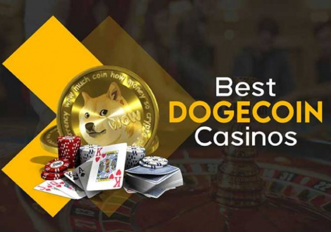 A Comprehensive Guide to Choosing the Best Dogecoin Casinos (1).jpg